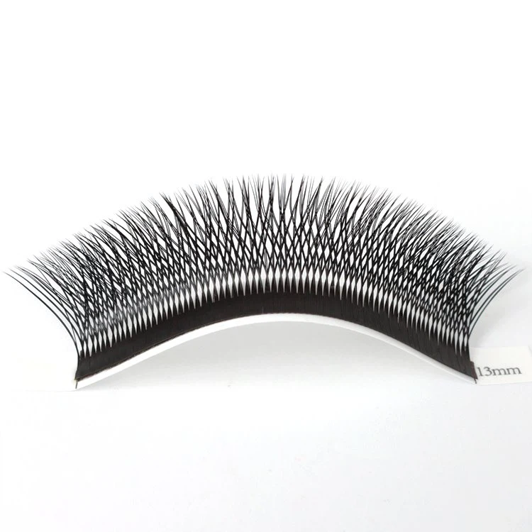 3D lashes