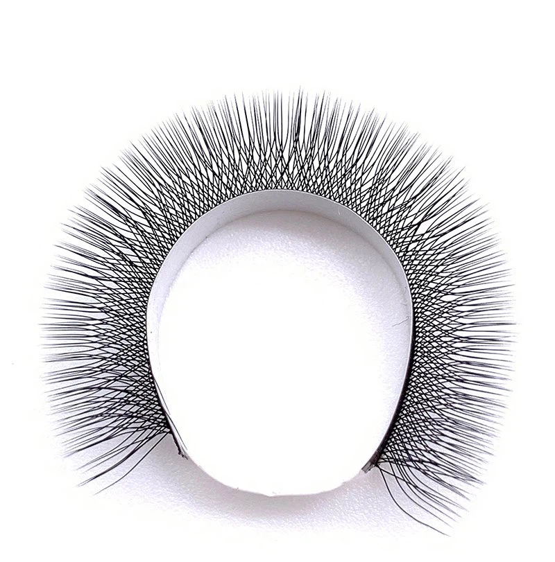 3D lash extenison
